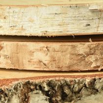 Artikel Holzscheiben Birkenholz mit Rinde Baumscheiben Ø20-22cm 3 St