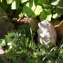 Artikel Igel Herbstdeko Figur Steinguss Weiß gewaschen H14,5cm