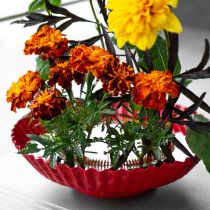 Artikel Kenzan-Ring mit Messingnadeln, Ø 15 cm, schwarze Unterseite, Steckhilfe für Ikebana und Blumengestecke