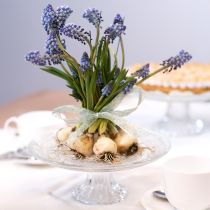 Artikel Klassische Glas-Tortenplatte mit feiner Gravur - Elegant für jede Feier Ø 20cm