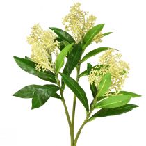 Artikel Künstliche Blumen Creme Skimmia japonica Skimmie 45cm 2St