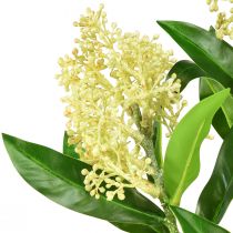 Artikel Künstliche Blumen Skimmia japonica Creme 45 cm 2er-Set