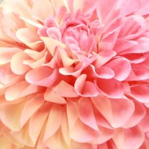 Artikel Künstliche Dahlien Pfirsich Rosa 10cm 80cm 2 Stück