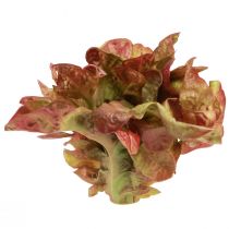 Artikel Künstlicher Salatkopf aus Kunststoff Lollo Rosso Ø20cm für Dekoration
