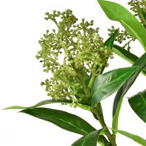 Artikel Kunstblumen Grün Skimmia japonica Skimmie 45cm 2St