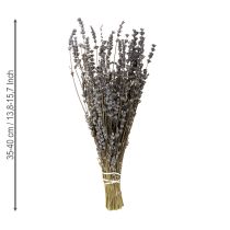 Artikel Lavendel getrocknet Duftende Trockenblumen 35-40cm 50g