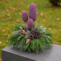 Artikel Lotoskapseln getrocknet Rosa/Weiss gewaschen Ø6-9cm, 50 Stück