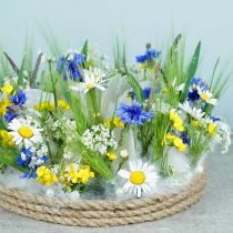 Artikel Maritim, Capiz-Muscheln 5–10cm, Perlmutt, Naturartikel 1kg