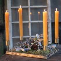 Artikel Moosbild Echtes Moos Bild mit Rahmen Konserviert 40×30cm