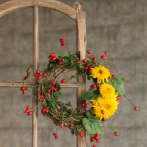 Artikel Naturkranz Ulmenzweige Zapfen Dekokranz Türkranz Tischkranz Ø35cm H8cm