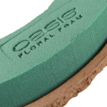 Artikel OASIS Biolit Ring aus Nasssteckschaum 24 cm 4 Stück Grün Braun