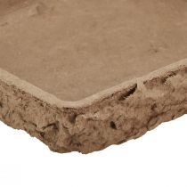 Artikel Oasis Biolit Unterlage für 2 Steckschaumziegel 48×13×2cm 7 St