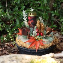 Artikel Biolit Pflanzschale Schwarz Ø35cm umweltfreundlich Blumenschale