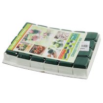 Artikel OASIS® Table Design 6cm Neo & Viva 24 St