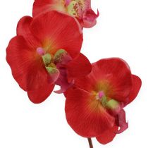Deko Orchidee Rot 68cm