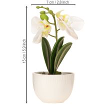 Artikel Mini Orchideen künstlich Weiße Orchideen im Topf 15cm