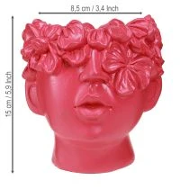 Artikel Pflanzkopf Übertopf aus Polyresin in Pink 13,5×13×14 cm für Wohnung und Tischdekoration