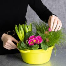 Artikel Pflanzschale aus Blech mit Henkeln 25 cm 3er Set Frühlingsfarben