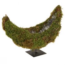 Artikel Moos Deko Pflanzschale Halbmond mit Metallsockel, Natur-Deko für Wohnraum & Feier, 40×15×30cm