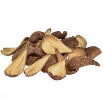 Artikel Frucht- und Samenkapsel Schoten Pradeep Pods 9-12 cm natur 50St