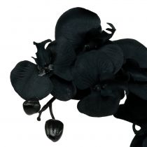 Artikel Orchidee zum Dekorieren Schwarz 54cm