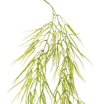 Artikel Sukkulente hängend Grün 145cm