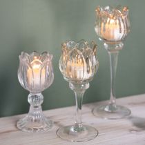 Artikel Teelichthalter aus Glas in Blumenform, 17 cm, transparent