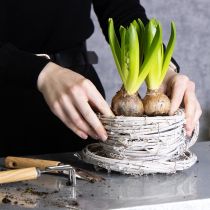 Artikel Teetasse aus geflochtener Weide mit Untertasse 13cm für Indoor Dekoration Weiss-Grau