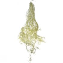 Artikel Tillandsie Deko Hänger Tillandsia künstlich Grün Weiß 180cm