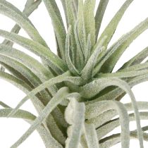Artikel Tillandsia künstliche Grünpflanze 13 cm aus Kunststoff in Grün