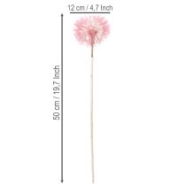 Artikel Trockenblumen Riesen Pusteblume Deko Edles Wohnaccessoire 12cm 4St