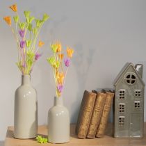 Artikel Trockenblumen Nigella Strauß Dekorative Nutzung im Wohnzimmer einzigartiges Ambiente schaffen 70cm 50g