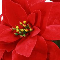 Artikel Künstliche Weihnachtssterne Rot 55 cm 2er Set
