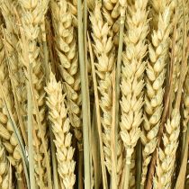 Artikel Getrockneter Weizenbund Natur 70 cm 150 g Dekostroh für Innenbereich