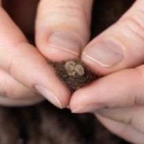 Artikel Wollkordel Braun 25m Dekoband Floristik Basteln