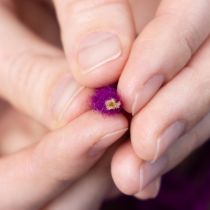 Artikel Wollkordel Lila 55m Dekoschnur für Floristik Basteln