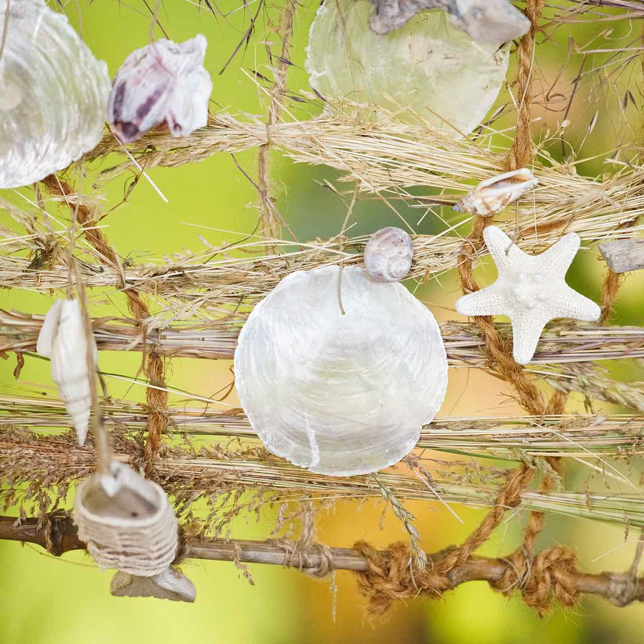 Capiz-Muschel 250g-28508-017 einkaufen in der Schweiz