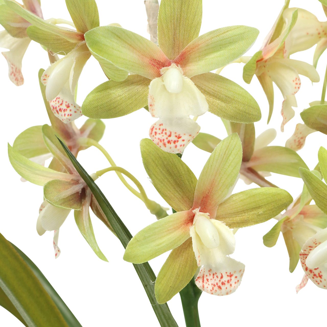 2er Set LED Orchidee Blüten Standblume Tischdekoration Beleuchtung DxH 25x37 cm 