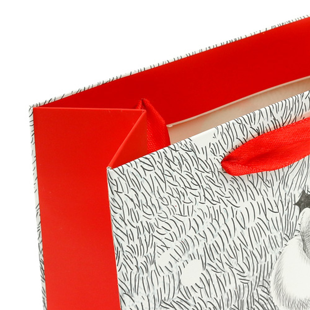 Geschenktasche Santa 24cm x18cm x 8cm-451250 einkaufen in der Schweiz