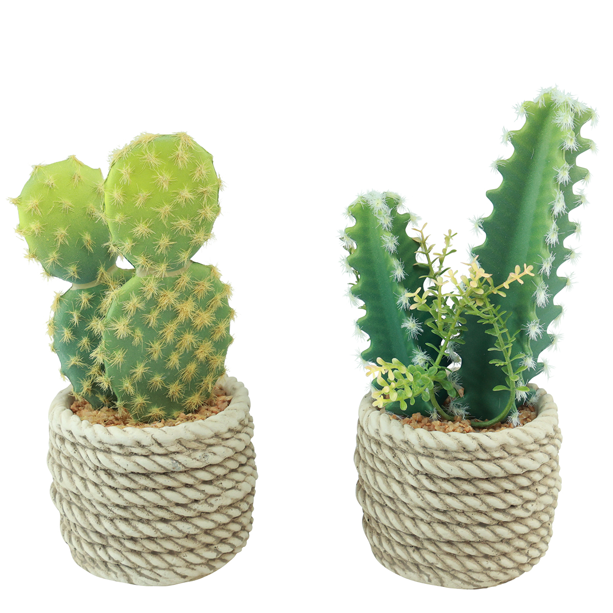 Knstliche Kakteen im Topf 20-21 cm Set 2 Stck | Floristik24