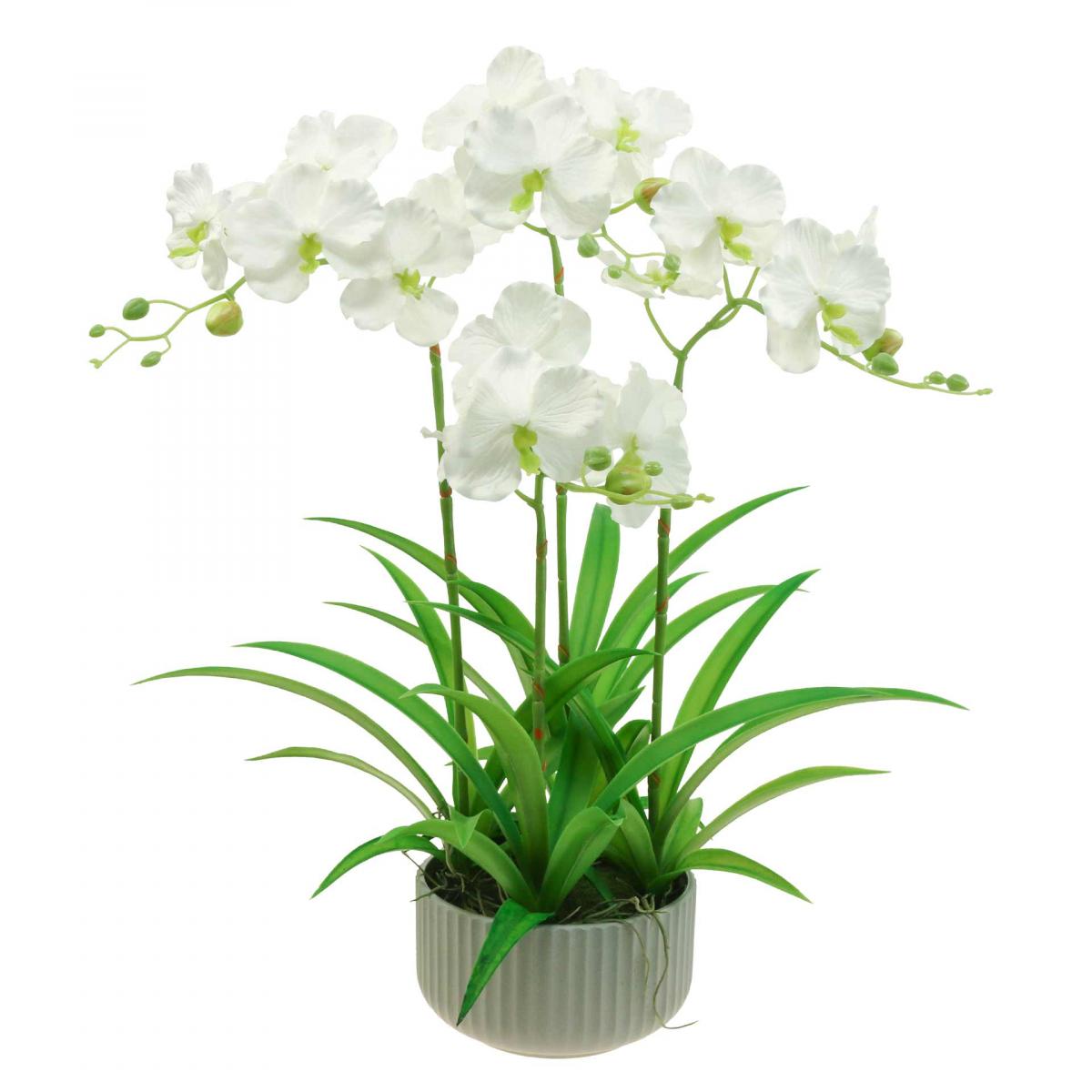 Weiß im Floristik24.ch Orchideen Künstliche Kunstblumen Topf 60cm-07749