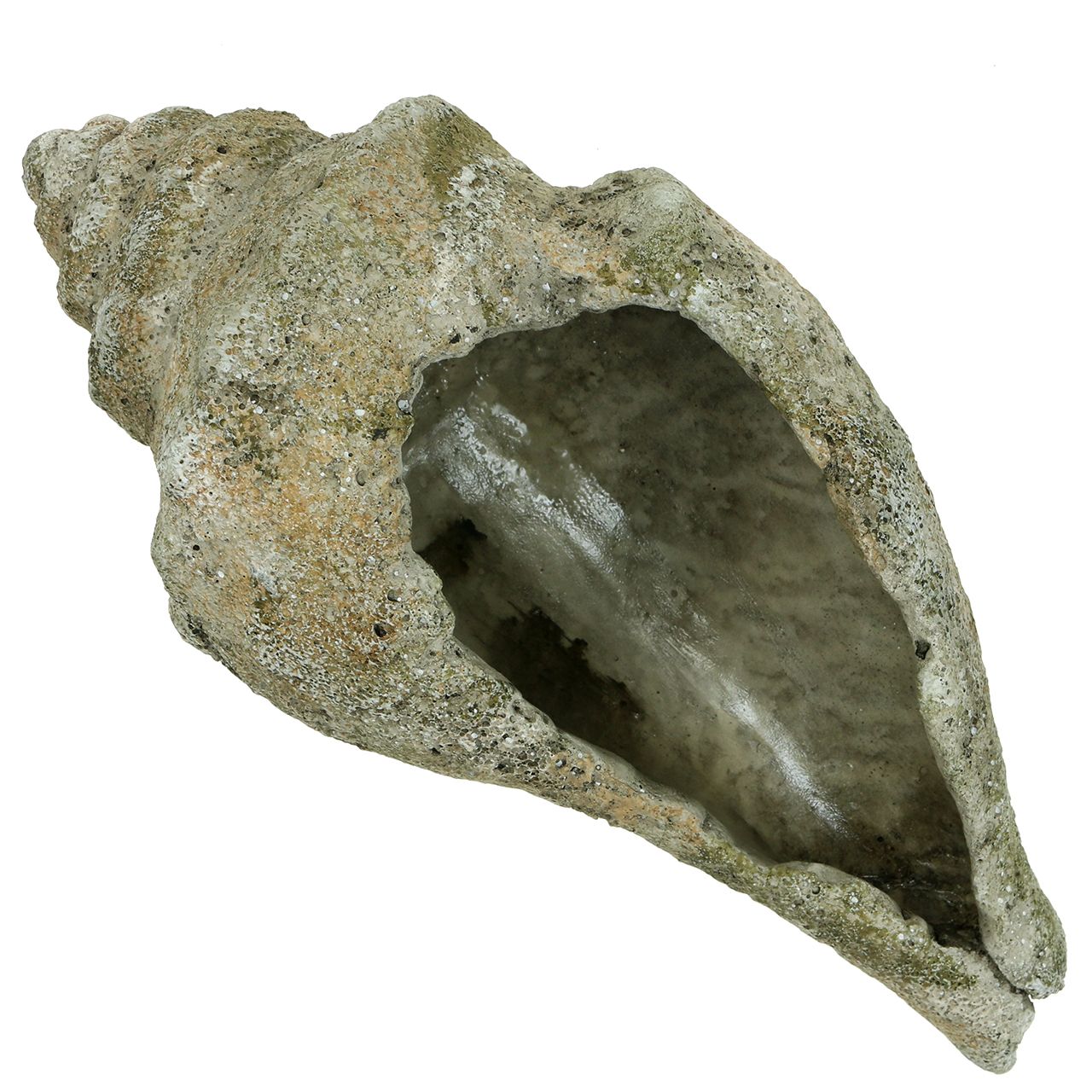 Muschel zum Bepflanzen L40cm-64356 einkaufen in der Schweiz