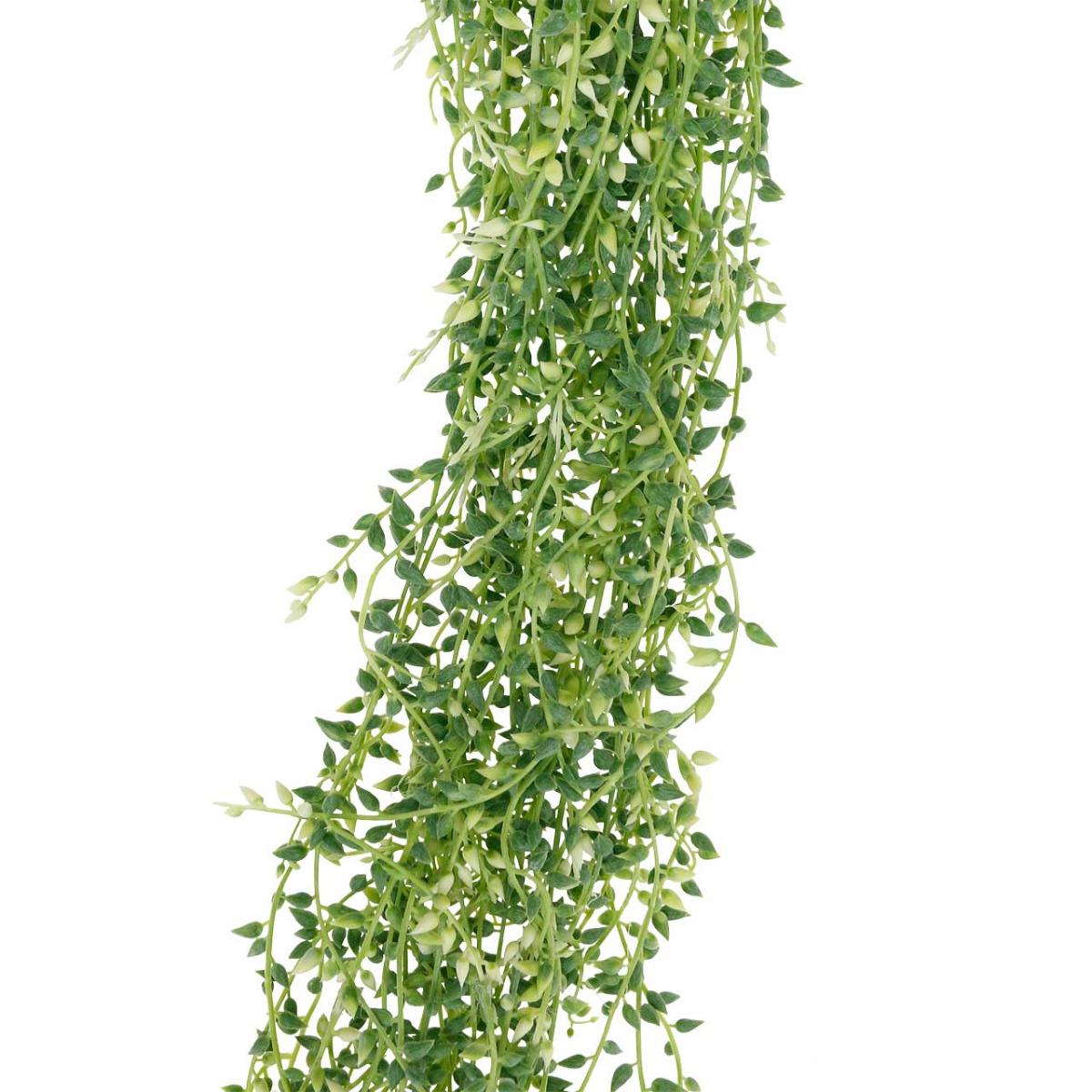 Floristik24.ch Sukkulente Hängepflanze Grün hängend künstlich 96cm-11943