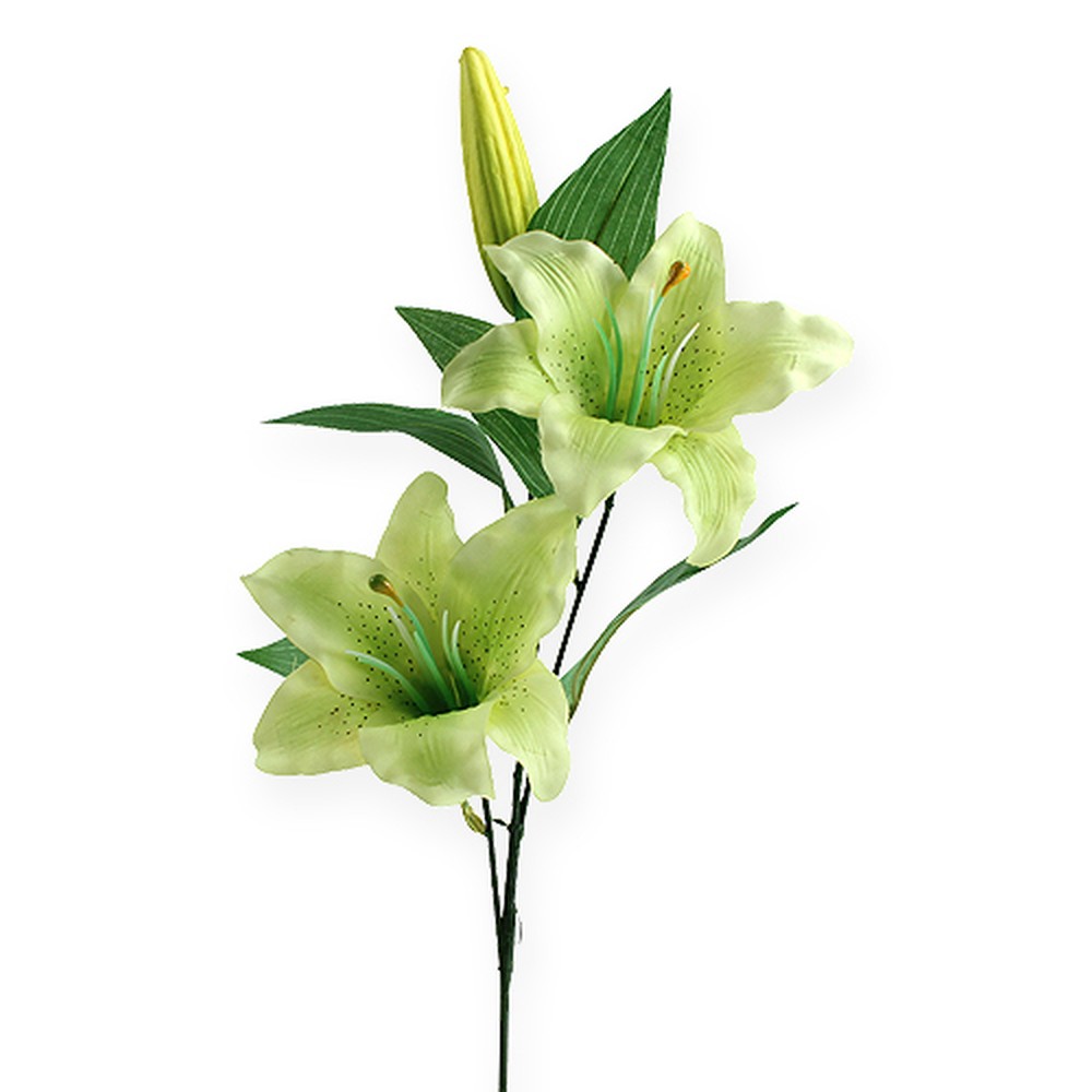 Tigerlilie Grün 47cm kaufen in Schweiz