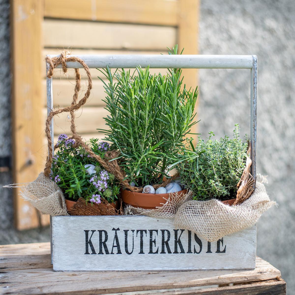 blumenkästen für die fensterbank Blumenkastenhalterung mit Haltebügel f. Fensterbänke Edelstahl ohne Bohren main image 1