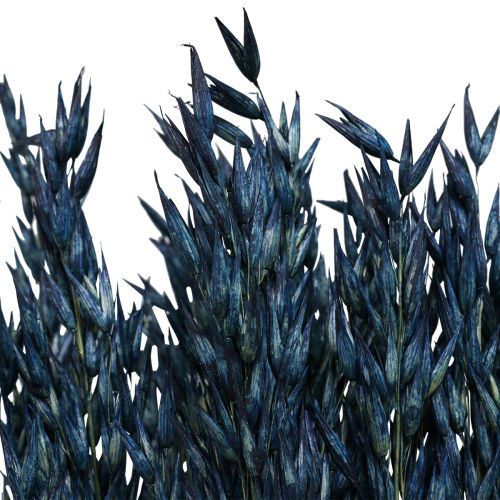 Artikel Trockenblumen, Hafer getrocknetes Getreide Deko Blau  68cm 230g