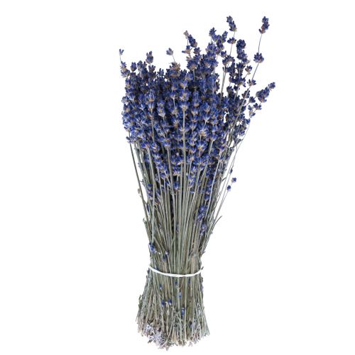 Artikel Getrockneter Lavendel Deko Blumen 25cm 350g 5er Set
