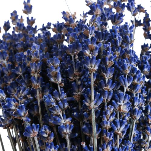 Artikel Getrockneter Lavendel Deko Blumen 25cm 350g 5er Set