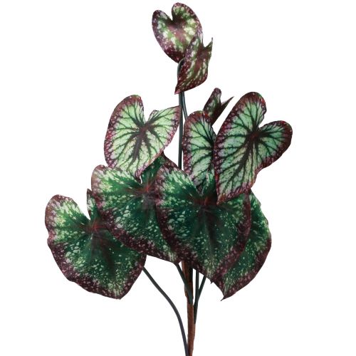 Floristik24 Begonie Künstliche Pflanzen Blattbegonien Grün Lila 62cm