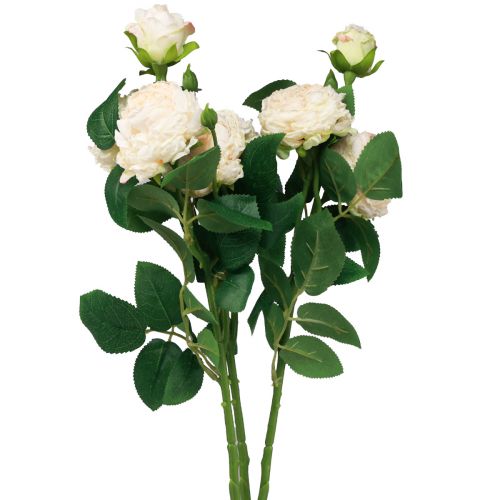 Floristik24 Kunstrosen Creme Künstliche Rosen Dry Look 53cm 3St